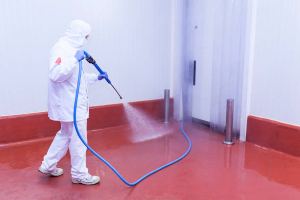 Boat and Dock Cleaning in Noroton, CT